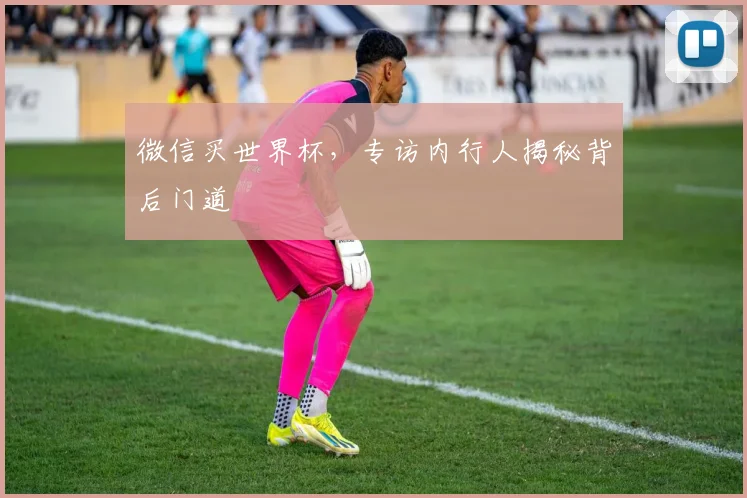微信买世界杯,专访内行人揭秘背后门道