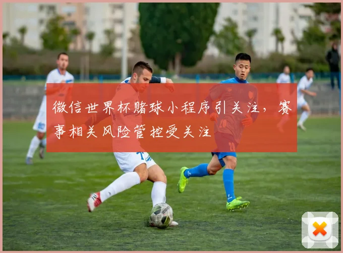 微信世界杯赌球小程序引关注,赛事相关风险管控受关注