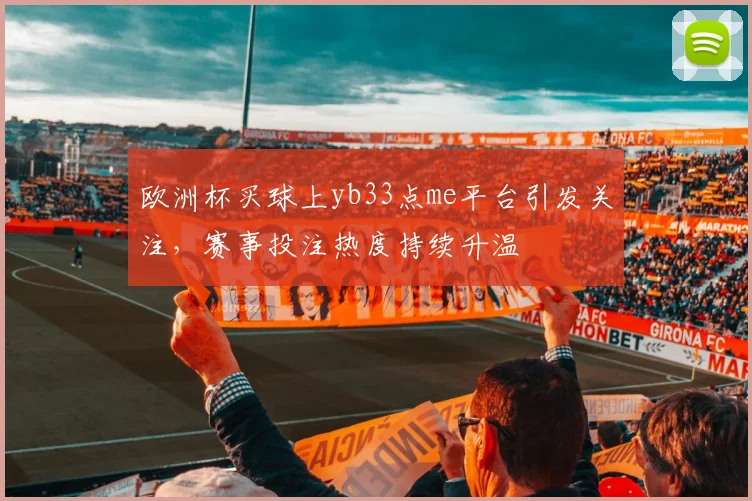 欧洲杯买球上yb33点me平台引发关注,赛事投注热度持续升温