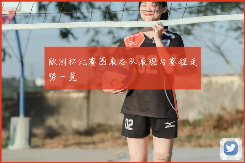 欧洲杯比赛图表各队表现与赛程走势一览