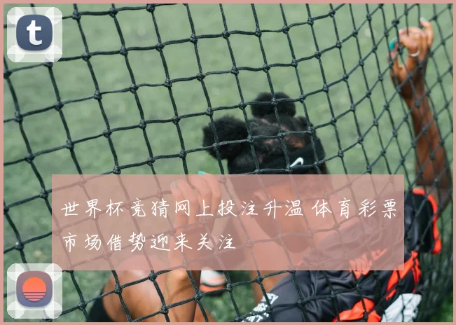 世界杯竞猜网上投注升温 体育彩票市场借势迎来关注